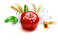 Шаблоны сайта «USOrganic»